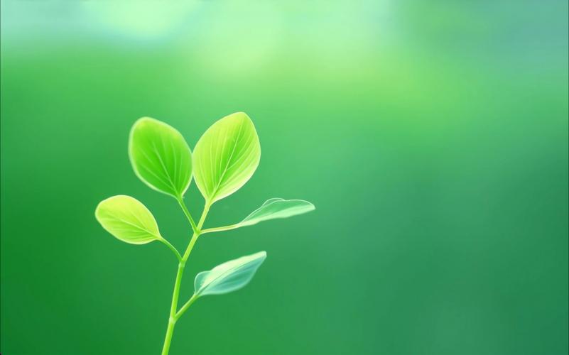 电脑桌面背景下载