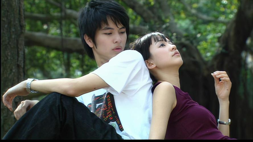 我要变成硬柿子下载