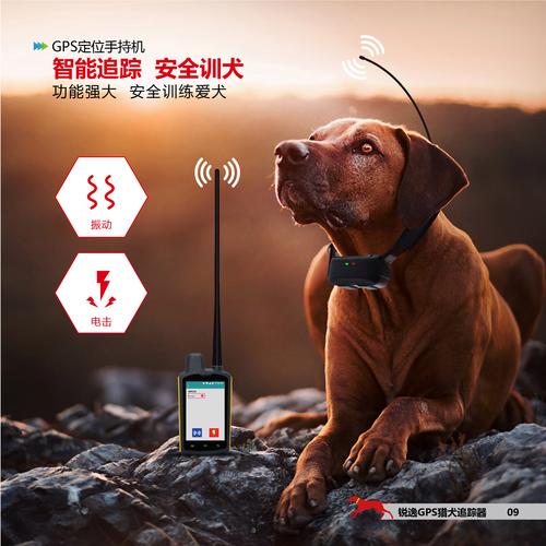 狗狗影视导航器