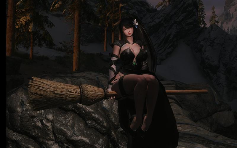 上古卷轴5美女存档