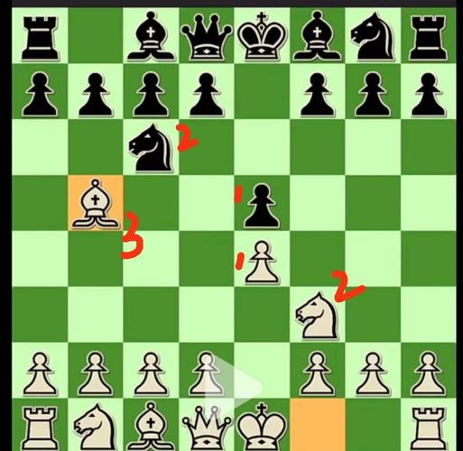 国际象棋开局视频