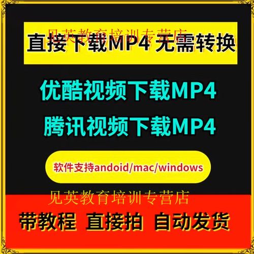 优酷视频下载工具