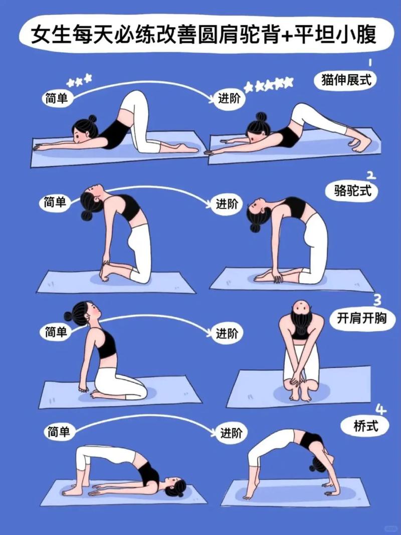 瑜伽视频教程初级下载