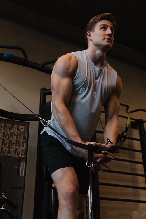 健美训练视频下载