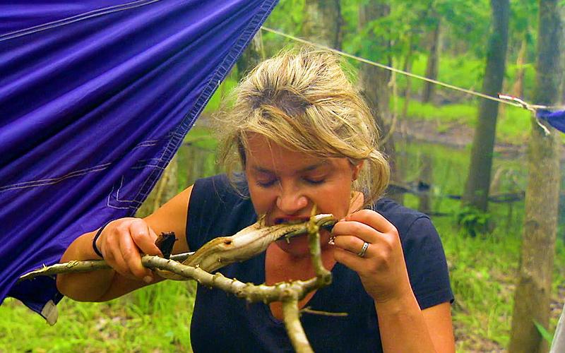 野外求生视频下载