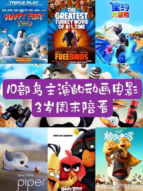 影视鸟