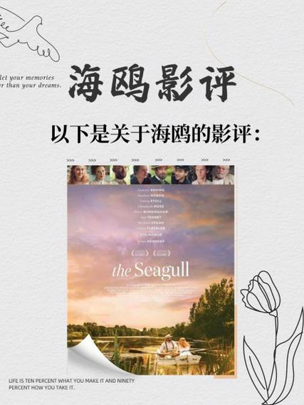 海鸥影评下载安装官方正版2026