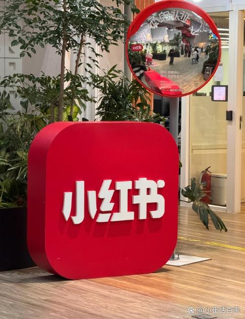 小红书成年国际安装包