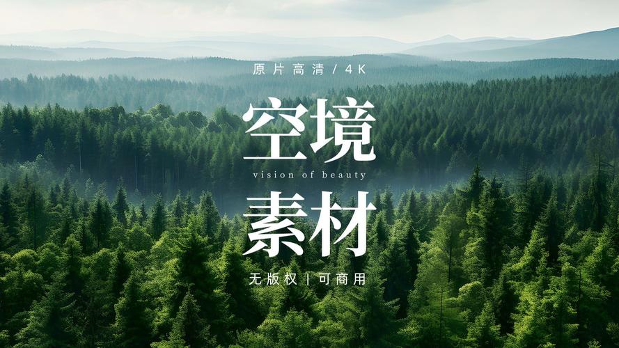 森林视频免广告版