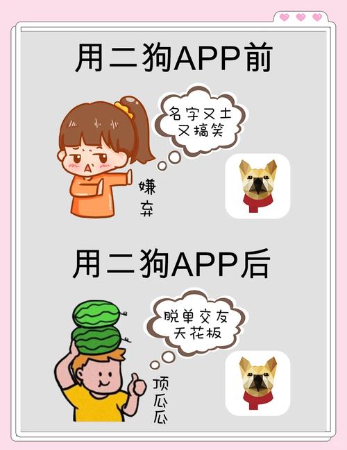 二狗高学历交友