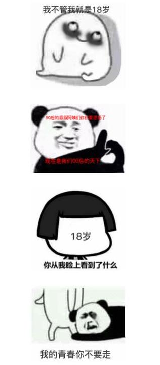 18岁安装包