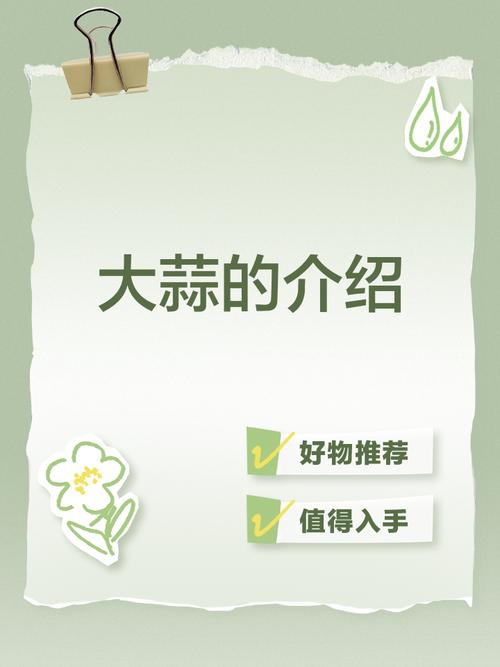 大蒜自学app