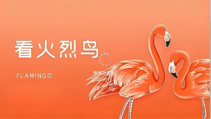 火烈鸟tv版下载