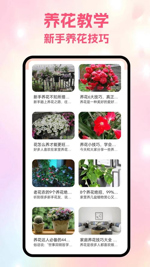 风信视频app