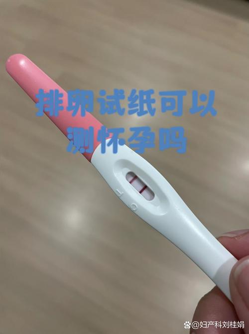 排卵期怀孕助手下载最新版