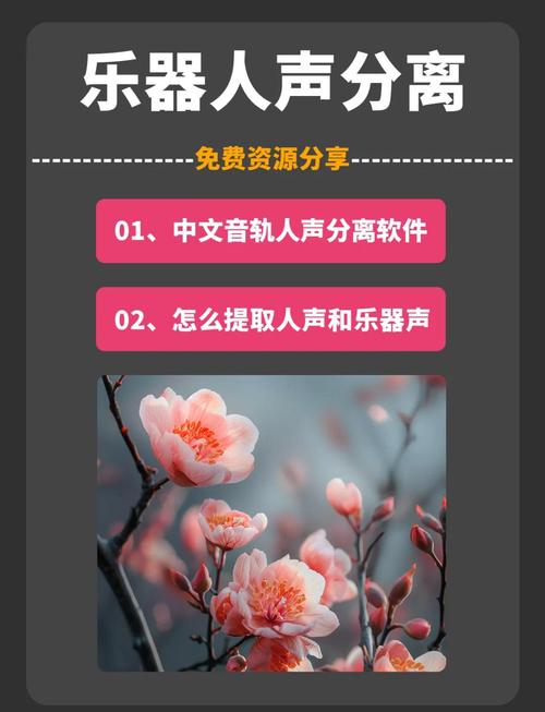 AI人声分离app下载最新版