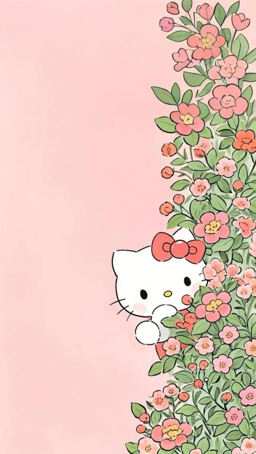 ktkkt卡通站手机版下载2025最新版