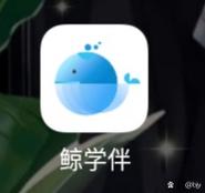 鲸学伴教育app下载安卓版