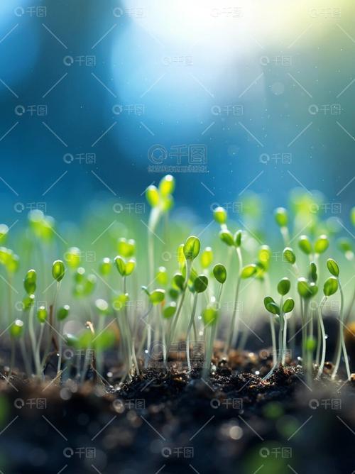 豆芽剧场免费版下载