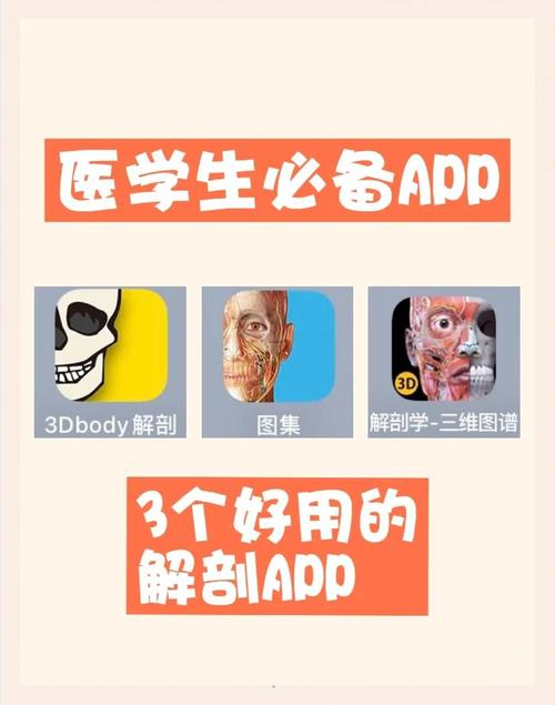 云解剖app手机版免费下载