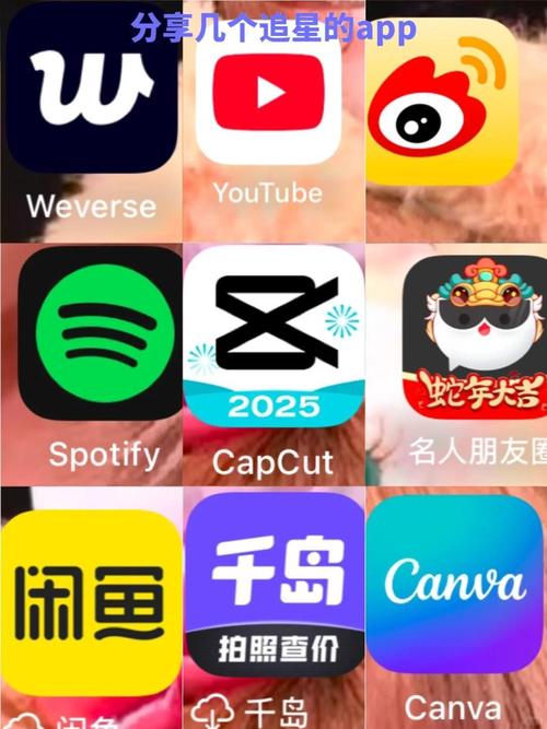 diggin追星平台app免费下载