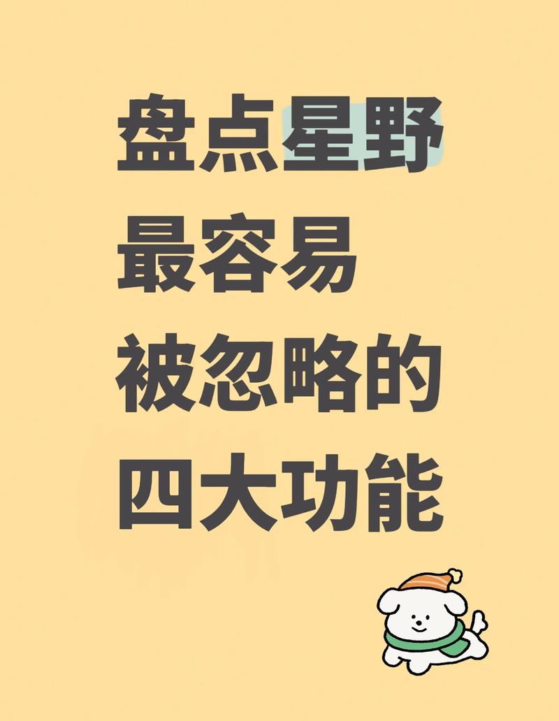 星野2.06.005版本