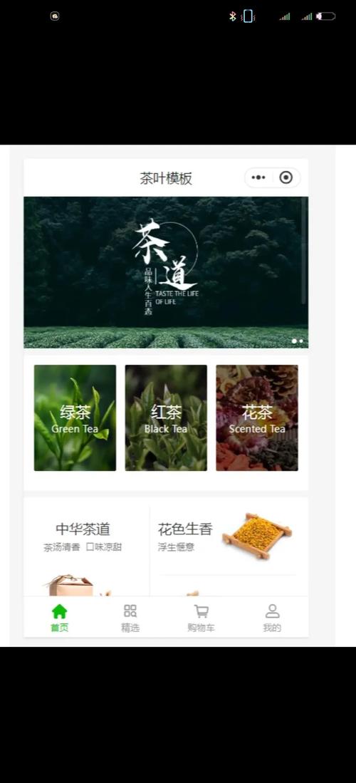 山茶视频app官方下载