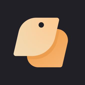 ChatBird下载安装