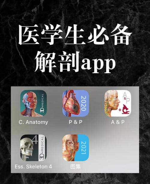云解剖app官方版下载