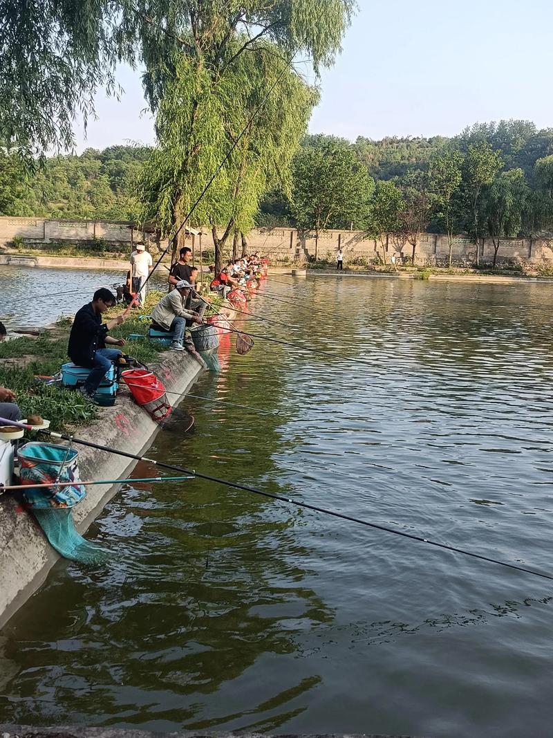 我的钓场最新版