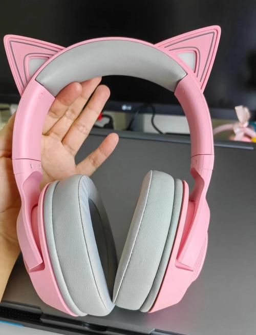 猫耳夜听最新版