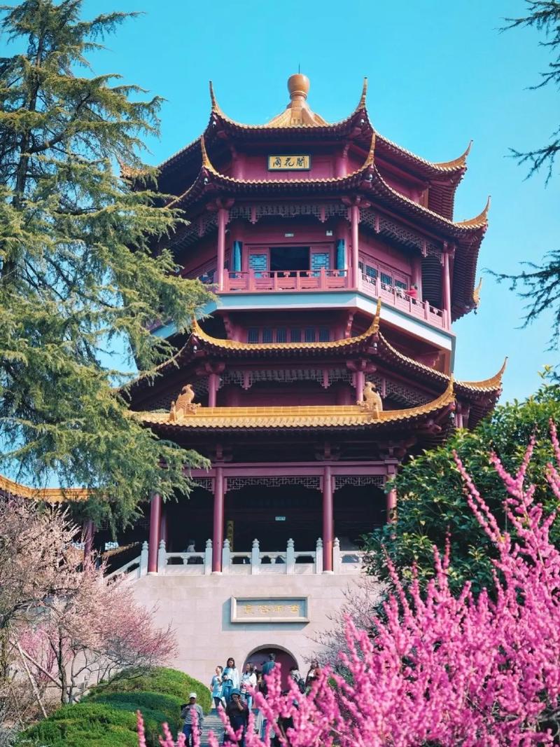 雨花阁2025最简单好用的搜索引擎下载