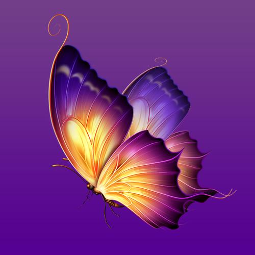 122tv蝴蝶直播app正版