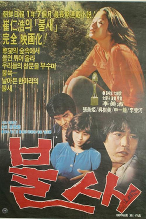 ceisip火鸟影视下载2025最新版