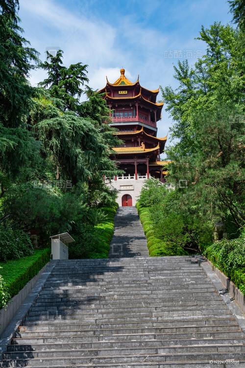 雨花阁搜索最新版安卓下载