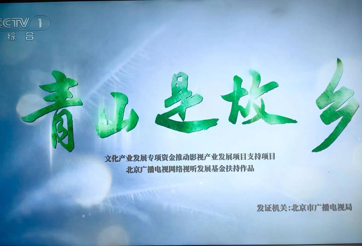 青山影视2024最新版本