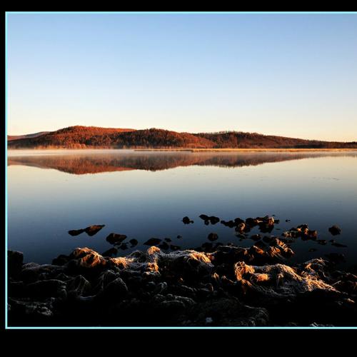 秋水视频下载安装最新版