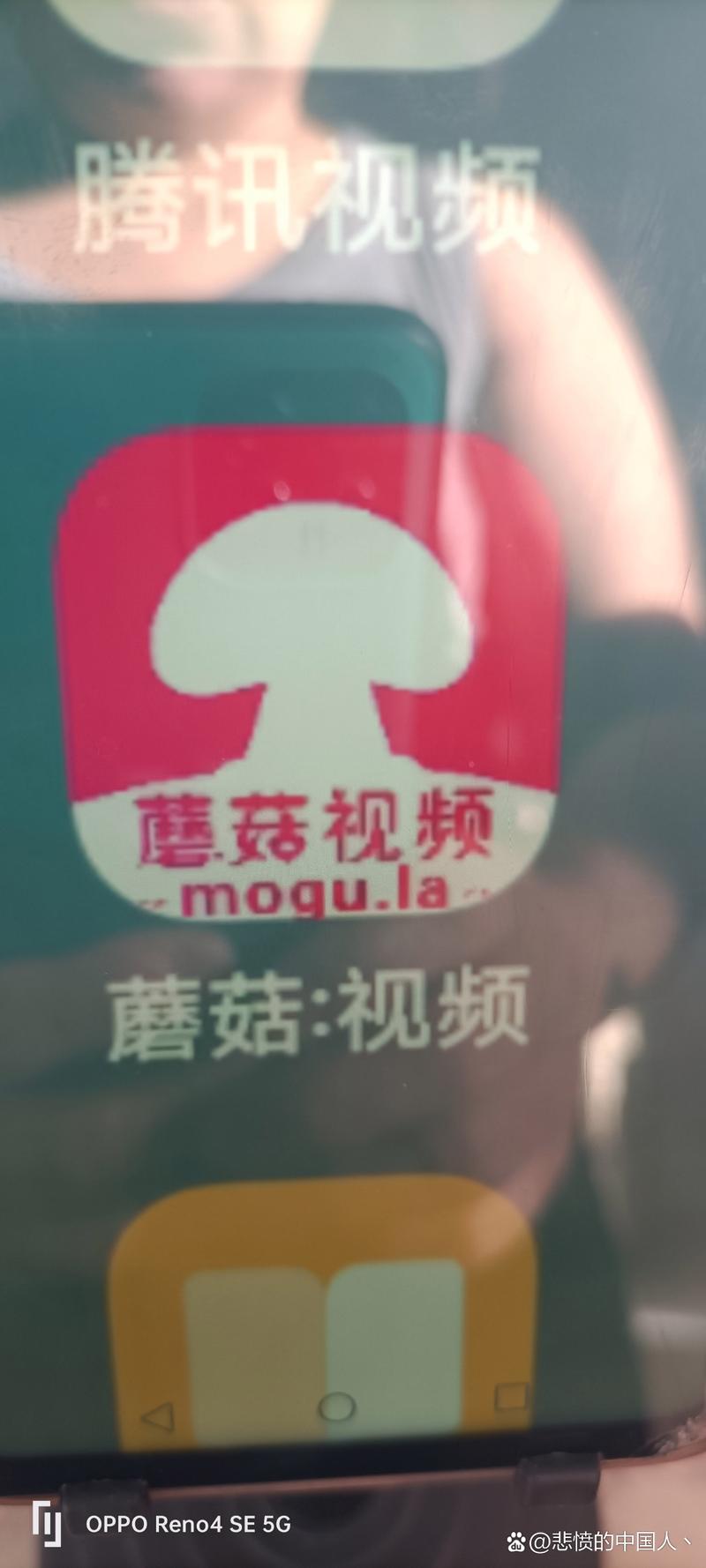 坚果视频app去广告版下载v3.0.5