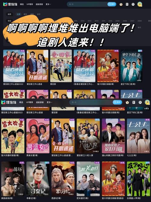 哚哚影视tv电视版