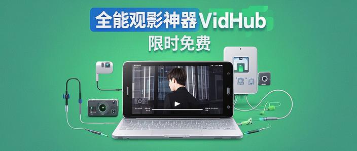 vidhub安装包