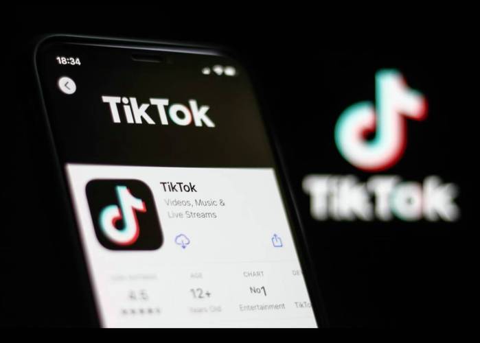 美国版抖音tiktok最新版本