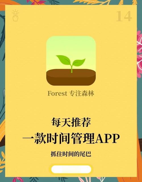 森林视频app会员版去广告