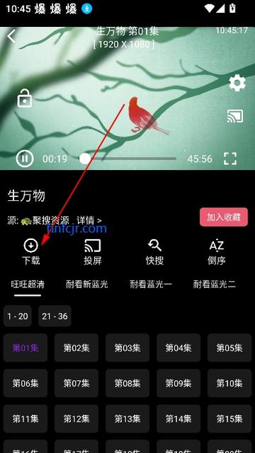 白象影视app下载v1.0.1