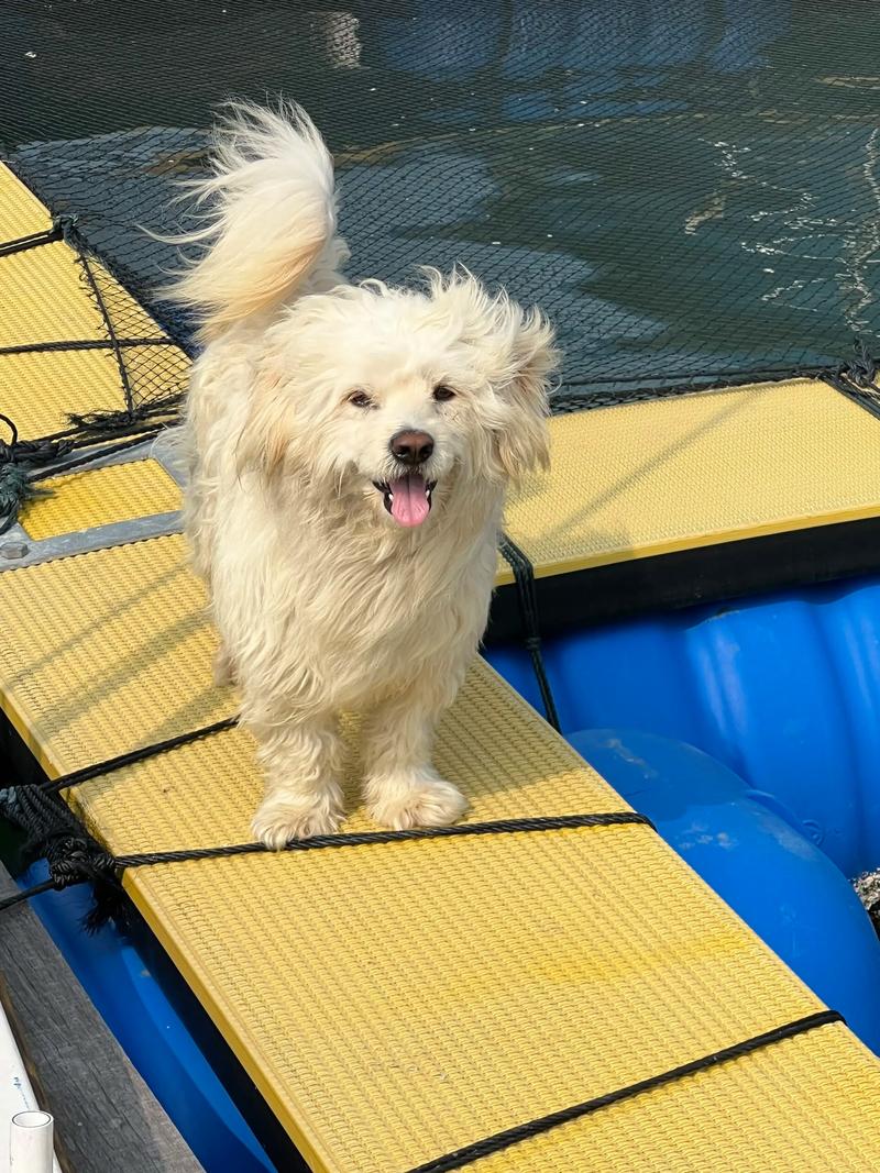 海狗视频app下载2025最新版