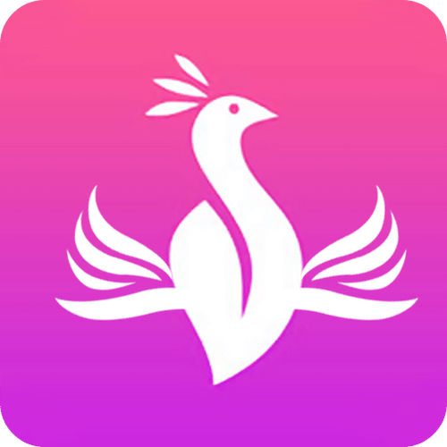 金凤软件下载安装