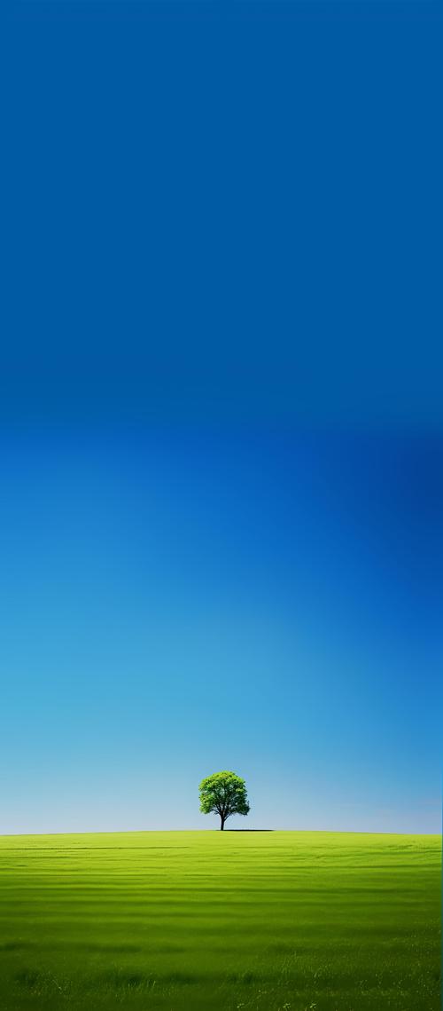 最美壁纸大全纯净版下载v1.4.6