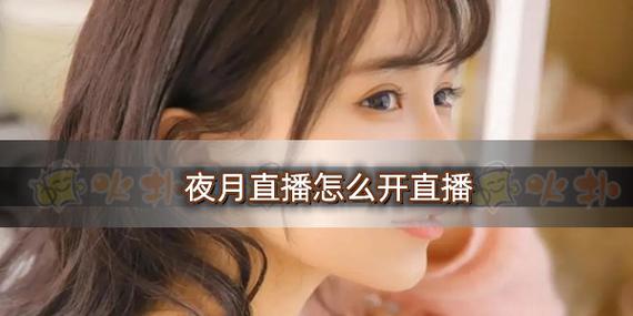 夜月55tv直播下载