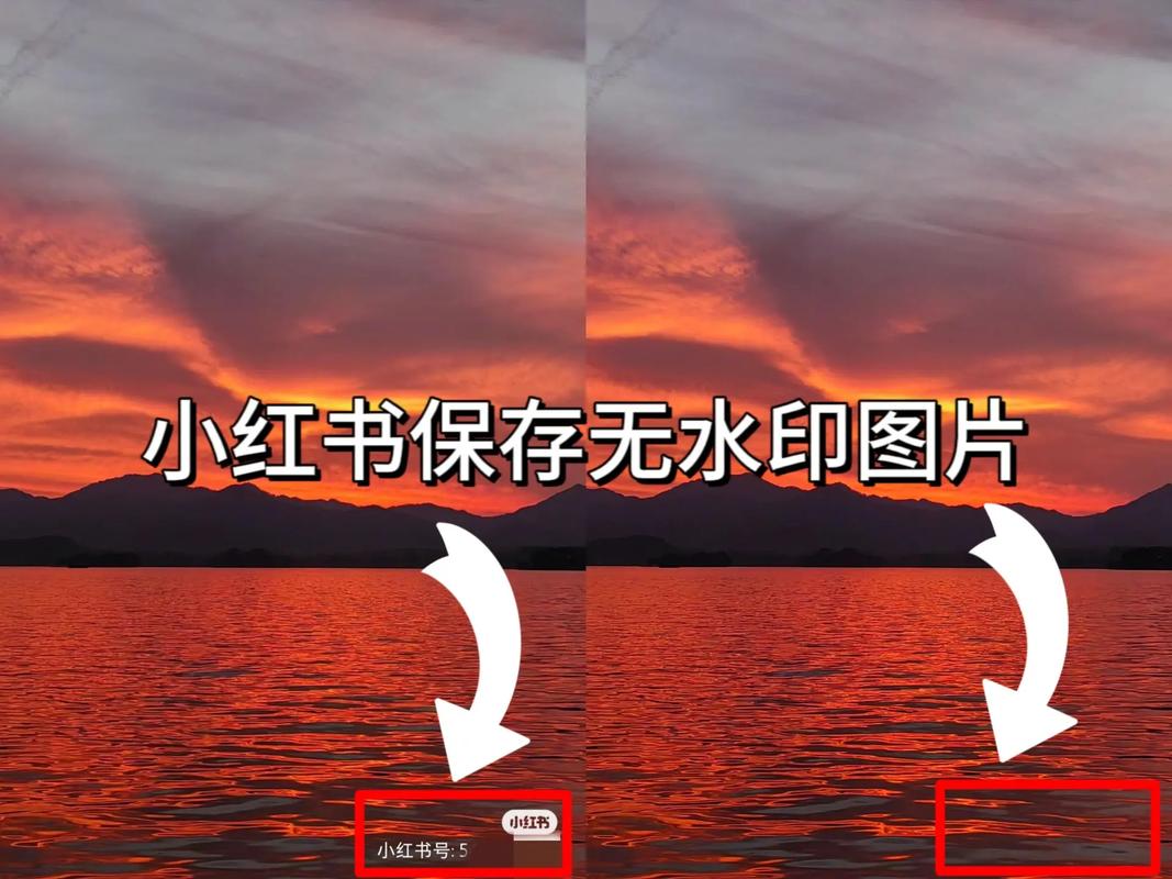 小红书去水印版