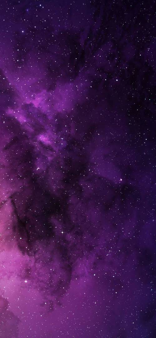 黯笙爱看紫色韵味免费版