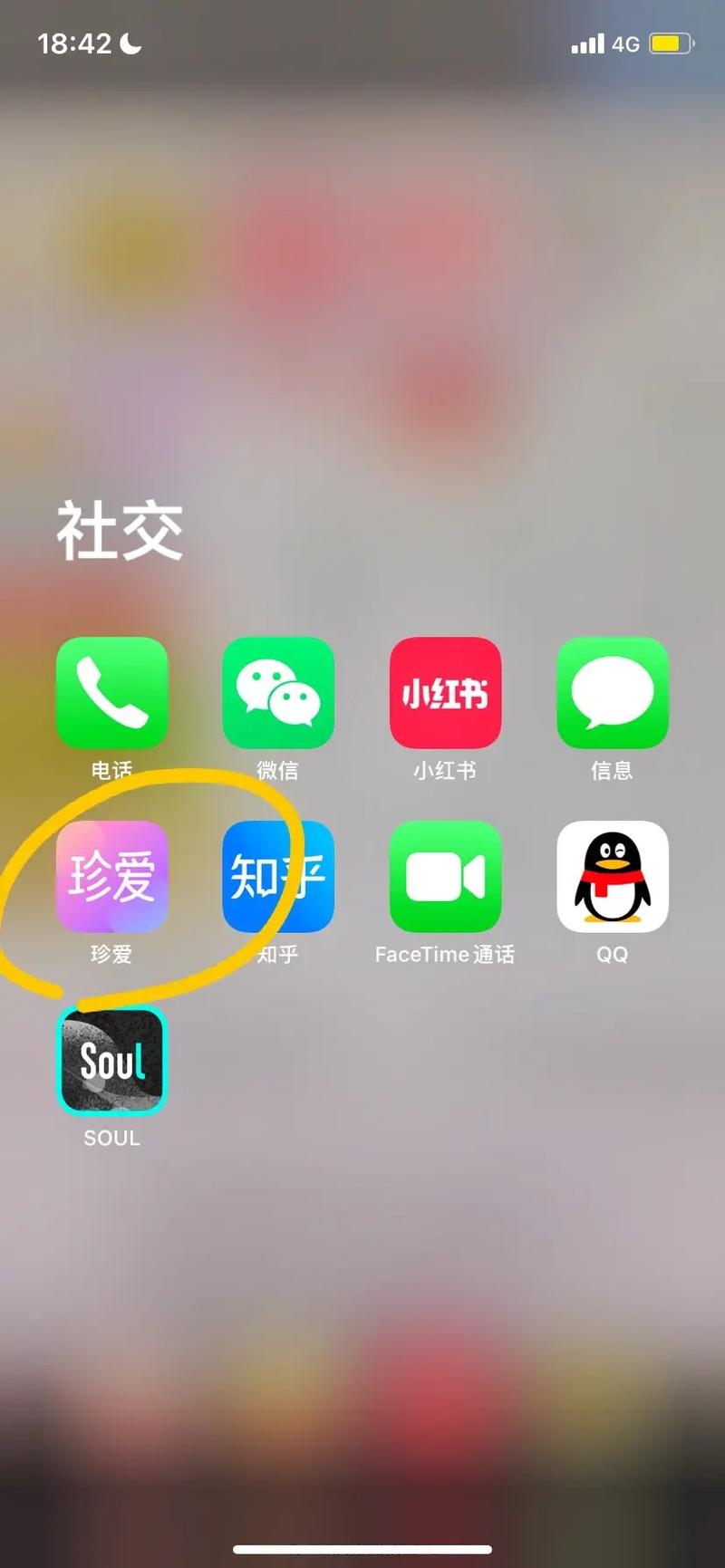 珍心交友APP下载2024最新版